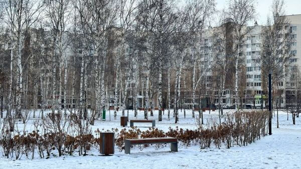 «ДСК-1» приняла участие в создании нового сквера в Сургуте на месте ДК «Строитель»